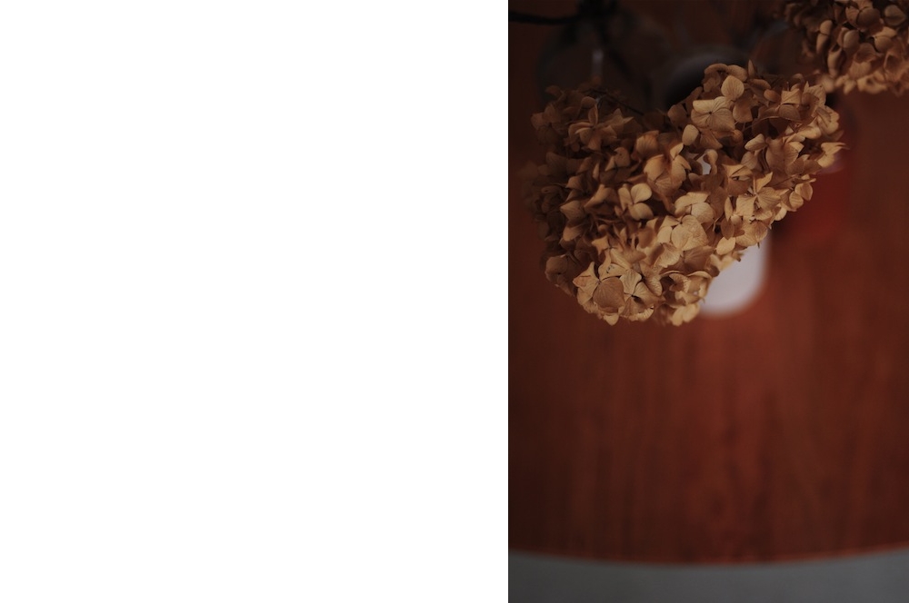 �R�[�q�[�e�[�u��